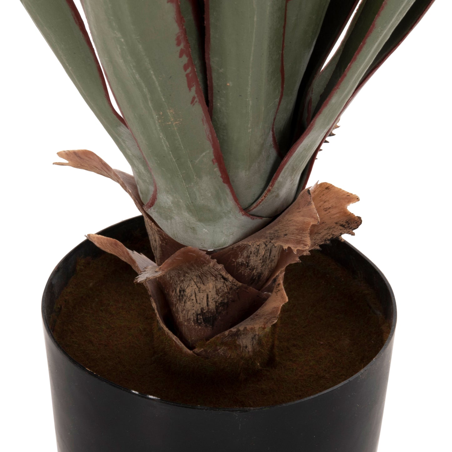 ΔΙΑΚΟΣΜΗΤΙΚΟ ΣΥΝΘΕΤΙΚΟ ΦΥΤΟ HM7985 SISAL AGAVE ΣΕ ΓΛΑΣΤΡΑ Φ13,5x13-76Υεκ.