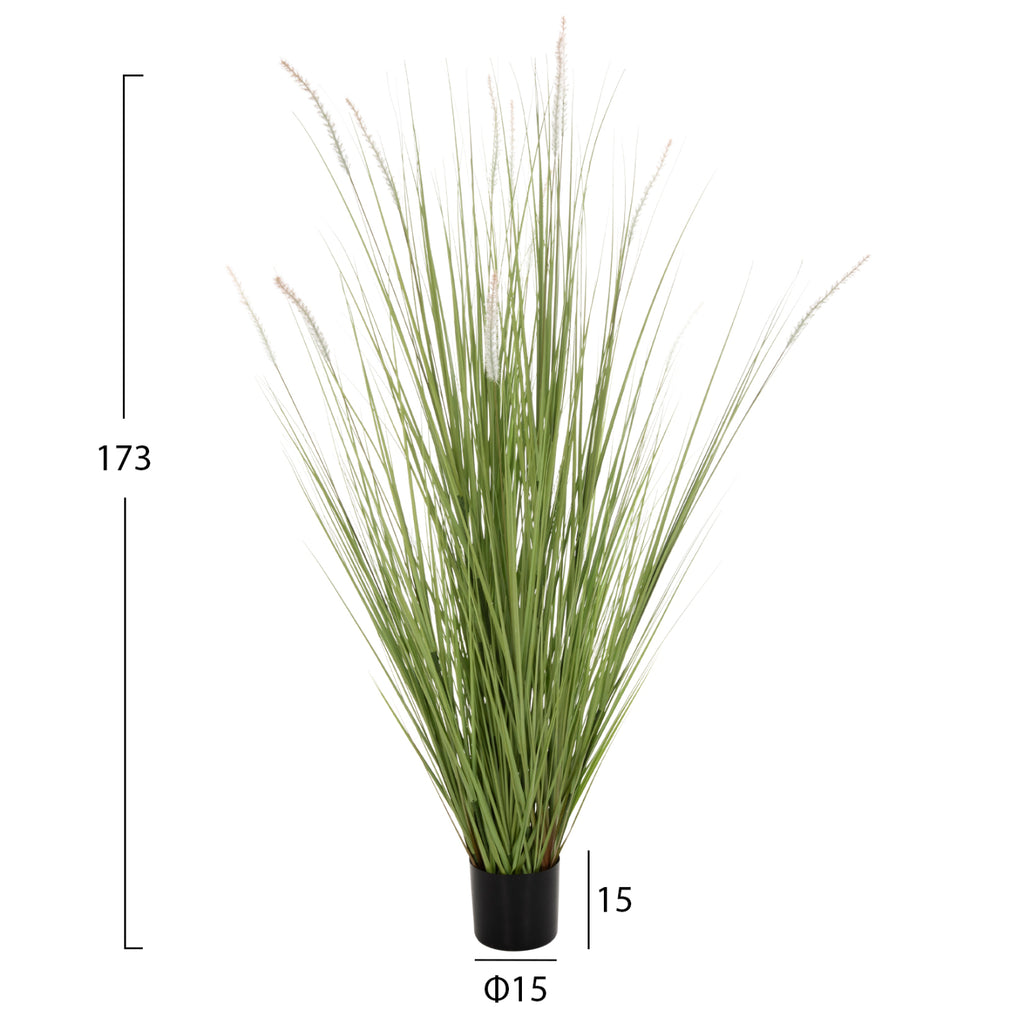 ΔΙΑΚΟΣΜΗΤΙΚΟ ΣΥΝΘΕΤΙΚΟ ΦΥΤΟ HM4017 BRISTLEGRASS ΣΕ ΓΛΑΣΤΡΑ 173Υεκ.