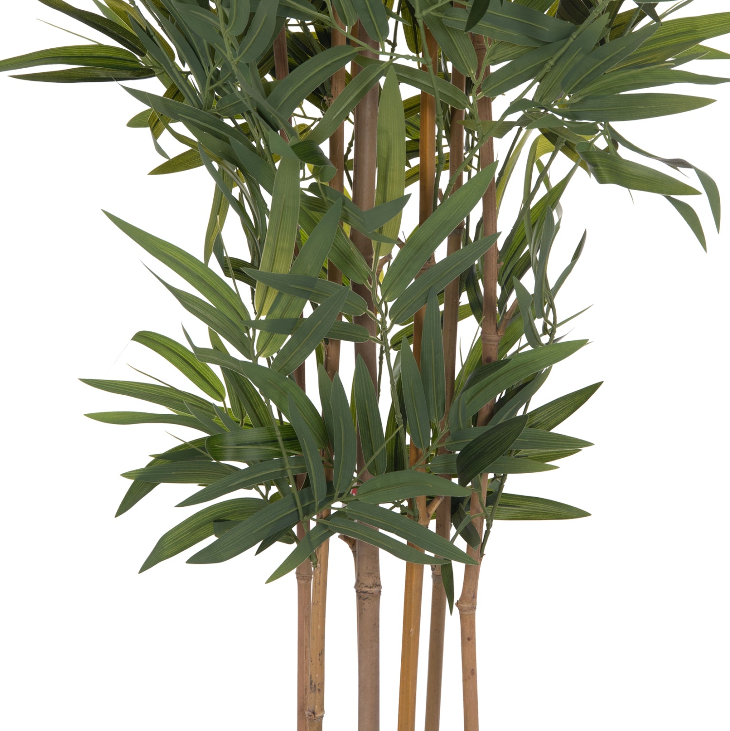ΔΙΑΚΟΣΜΗΤΙΚΟ ΣΥΝΘΕΤΙΚΟ ΦΥΤΟ HM4736 BAMBOO ΣΕ ΓΛΑΣΤΡΑ 20x95x180Υεκ.