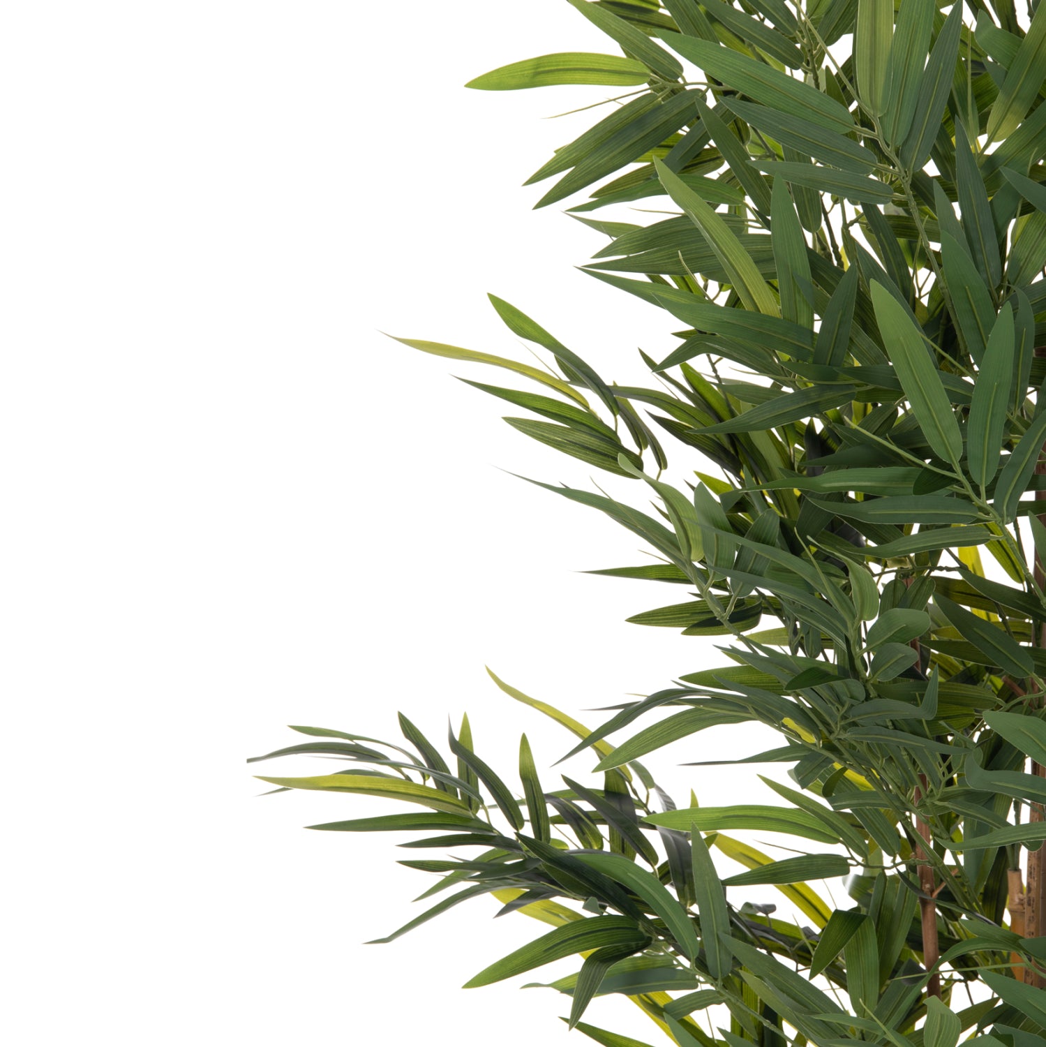 ΔΙΑΚΟΣΜΗΤΙΚΟ ΣΥΝΘΕΤΙΚΟ ΦΥΤΟ HM4736 BAMBOO ΣΕ ΓΛΑΣΤΡΑ 20x95x180Υεκ.