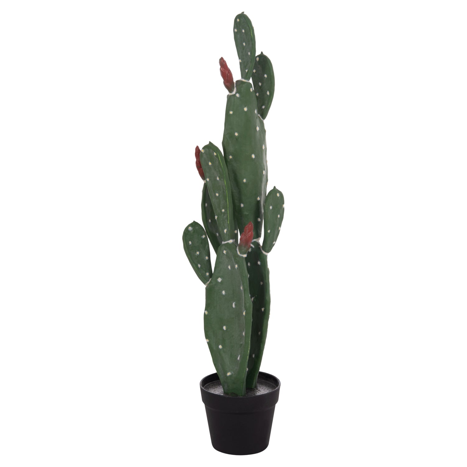 ΔΙΑΚΟΣΜΗΤΙΚΟ ΣΥΝΘΕΤΙΚΟ ΦΥΤΟ HM4748 ΚΑΚΤΟΣ ΜΕ ΓΛΑΣΤΡΑ 16x20x85Υεκ.