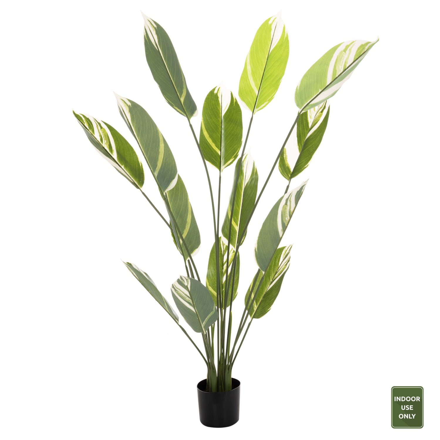 ΔΙΑΚΟΣΜΗΤΙΚΟ ΣΥΝΘΕΤΙΚΟ ΦΥΤΟ HM7997 CALATHEA ΣΕ ΓΛΑΣΤΡΑ 140Υεκ.