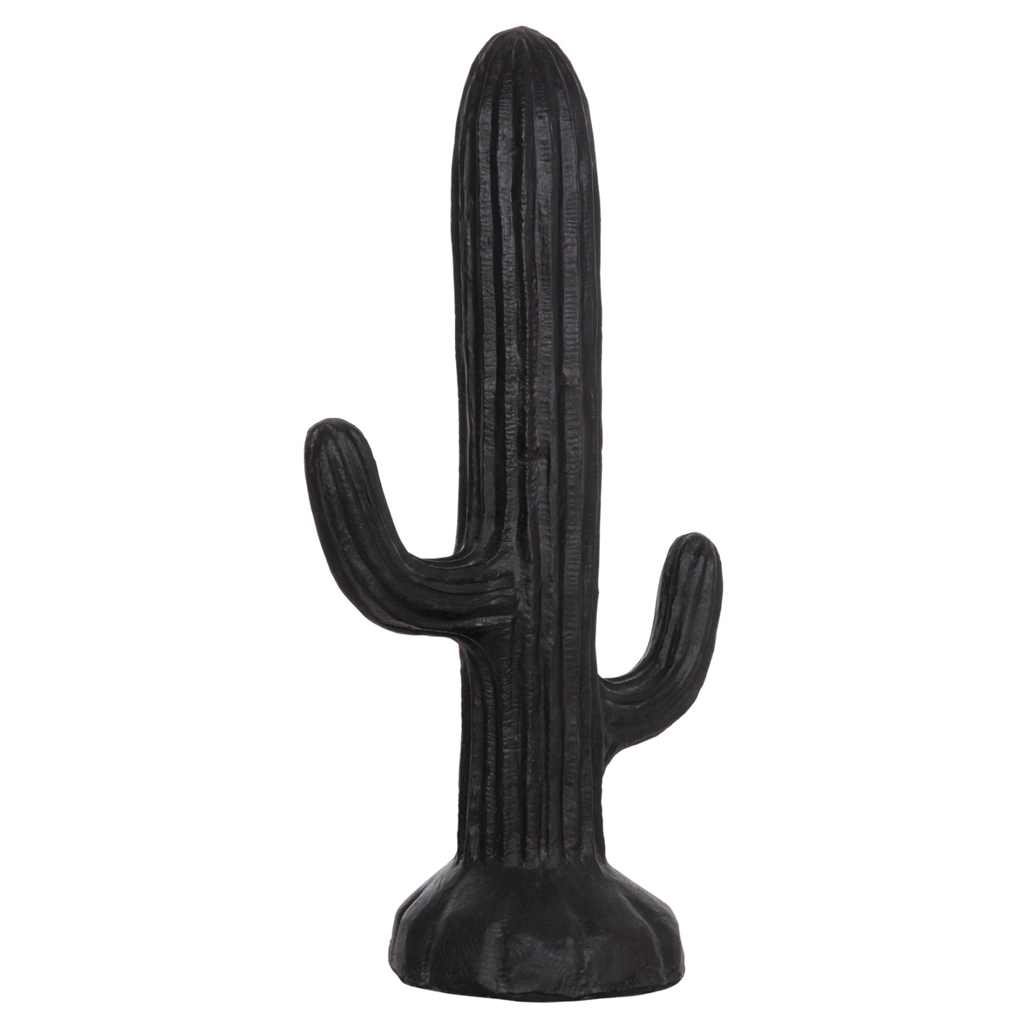 ΔΙΑΚΟΣΜΗΤΙΚΟΣ ΚΑΚΤΟΣ ΔΑΠΕΔΟΥ CACTUS HM4386.01M ΓΥΨΟΣ ΣΕ ΜΑΥΡΟ 54x34x103Υεκ.
