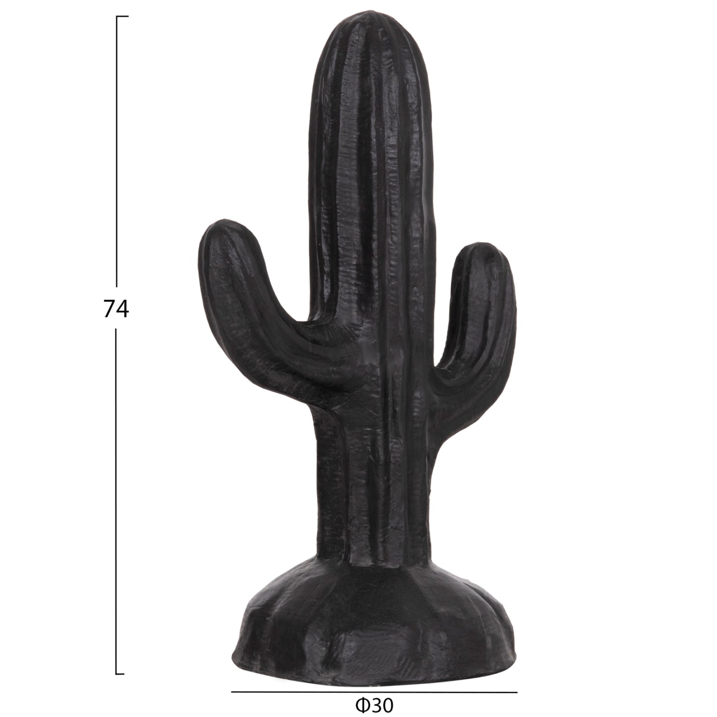 ΔΙΑΚΟΣΜΗΤΙΚΟΣ ΚΑΚΤΟΣ ΔΑΠΕΔΟΥ CACTUS HM4386.01S ΓΥΨΟΣ ΣΕ ΜΑΥΡΟ 42x30x74Υεκ.