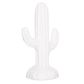 ΔΙΑΚΟΣΜΗΤΙΚΟΣ ΚΑΚΤΟΣ ΔΑΠΕΔΟΥ CACTUS HM4386.02S ΓΥΨΟΣ ΣΕ ΛΕΥΚΟ 42x30x74Υεκ