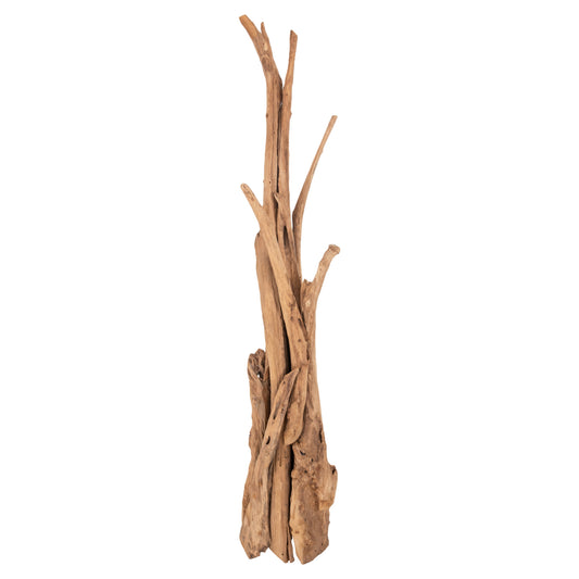ΚΑΛΟΓΕΡΟΣ HM9367 ΑΠΟ ΜΑΣΙΦ ΞΥΛΟ TEAK ΦΥΣΙΚΟ 36x30x183Υεκ.